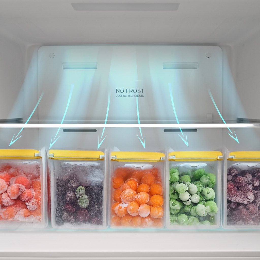 Frego 685L Double Door Top Mount Refrigerator